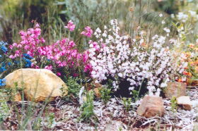Stokes Bay Bush Garden - Attractions 0
