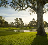 Serafino Wines - Attractions