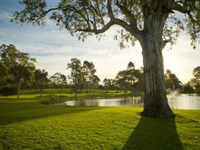 Serafino Wines - Attractions 0