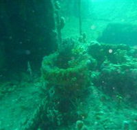 Wallaroo Scuba Club - Attractions