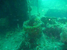 Wallaroo Scuba Club - Attractions 0