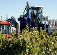 Ballast Stone Estate Wines Pty Ltd - Attractions