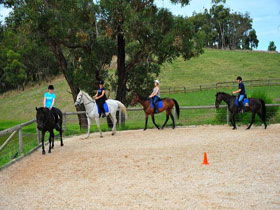 Megan Jones Riding School And Trail Rides - Attractions 0