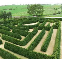 Mintaro Maze and Gift Shop - Attractions