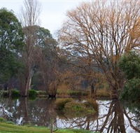 Gemtree Wetlands Ecotrail - Attractions