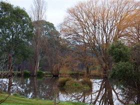 Gemtree Wetlands Ecotrail - Attractions 0
