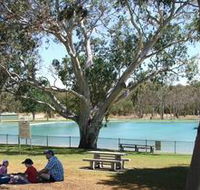 Naracoorte Nature Park and Swimming Lake - Attractions