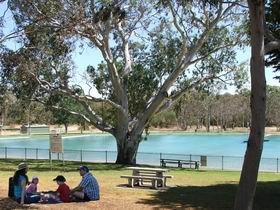 Naracoorte Nature Park And Swimming Lake - Attractions 0