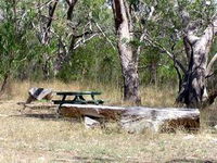 Penola Conservation Park