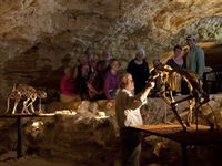Naracoorte Caves National Park