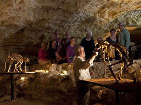 Naracoorte Caves National Park - Attractions 0