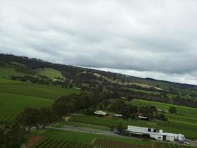 Kangarilla Road Vineyard And Winery - Attractions 0