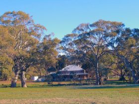 Old Wilpena Station - Attractions 0