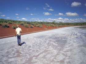 Lake Gairdner National Park - Attractions 0