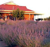 Bella Lavender Estate - Attractions