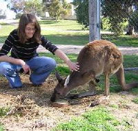 Pendleton Farmstay - Attractions