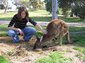 Pendleton Farmstay - Attractions 0