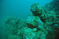 Book Port Willunga Accommodation Vacations See Attractions See Attractions