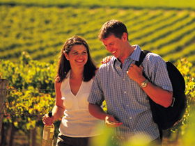 Lady Bay Vineyard - Attractions 0