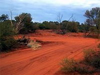 Tallaringa Conservation Park