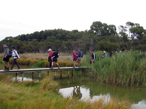 Lavender Federation Trail - Attractions 1