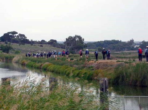 Lavender Federation Trail - Attractions 2