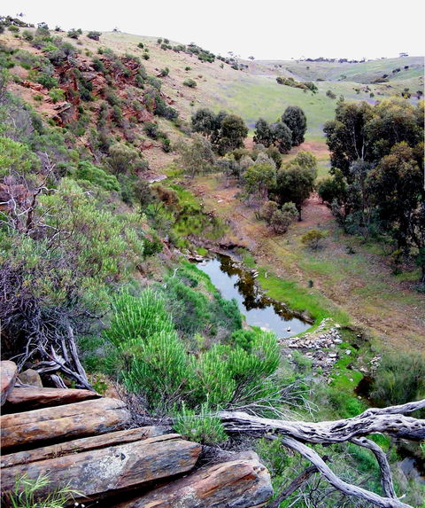 Lavender Federation Trail - Attractions 3