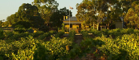 Greenock Creek Wines - Attractions 2