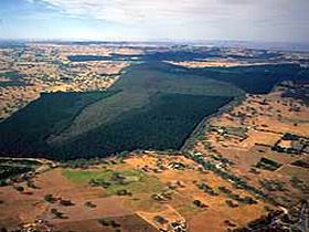 Mount Crawford Forest Reserve - Attractions 0