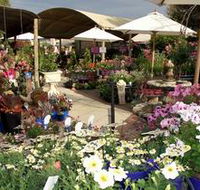 Serenity Nursery - Attractions
