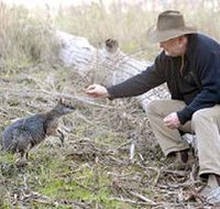 Sinclair's Gully - Attractions