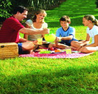 Bruny Island Berry Farm - Attractions