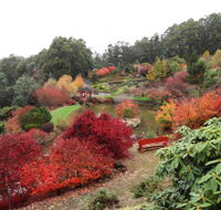 Emu Valley Rhododendron Garden - Attractions