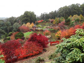 Emu Valley Rhododendron Garden - Attractions 0