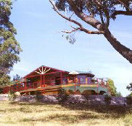 Barringwood Park Vineyard - Attractions