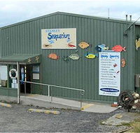 Stanley Seaquarium - Attractions