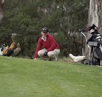 Tasmania Golf Club - The - Attractions
