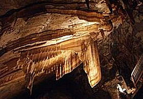 Gunns Plains Cave - Attractions 0