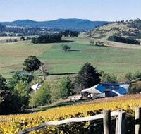 Freycinet Vineyards Pty Ltd - Attractions
