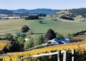 Freycinet Vineyards Pty Ltd - Attractions 0