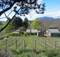 Wilmot Hills Vineyard - Attractions
