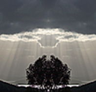 aart. Gallery of Fine Art - Attractions