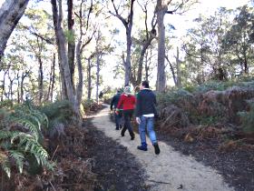 Bridport Walking Track - Attractions 0