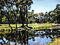 Book Smithton Accommodation Vacations Attractions Attractions