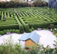 Westbury Maze and Tea Room - Attractions