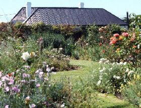 Rosedown Gardens - Attractions 0