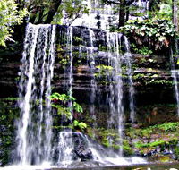 Mt Field National Park - Attractions