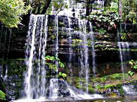 Mt Field National Park - Attractions 0