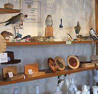 Touchwood Craft Gallery Gifts and Cafe - Attractions