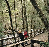 Franklin River Nature Trail - Attractions